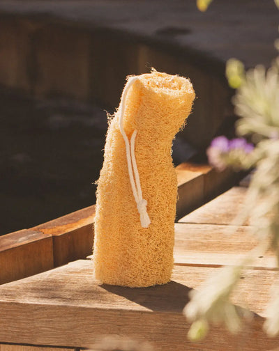 Central Coast Luffa