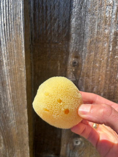Mineral Face Sponge (2-3")