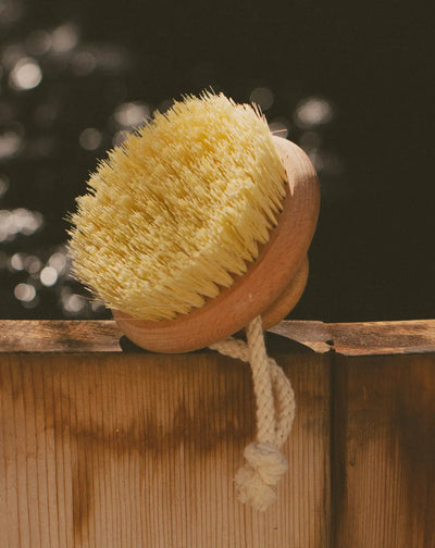 Total Body Brush